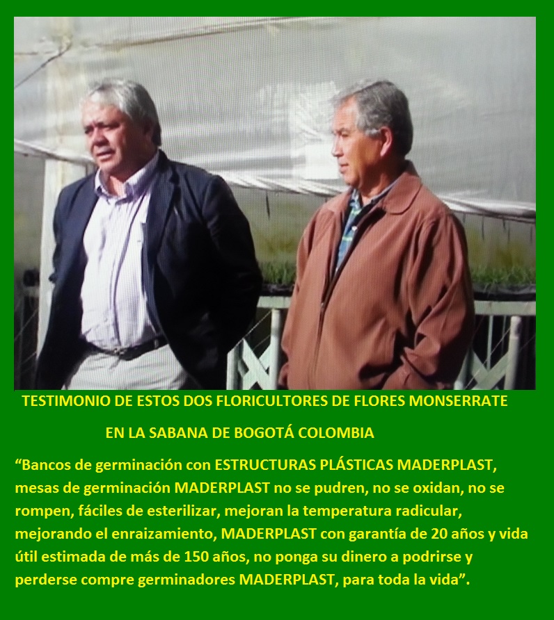 bancos de enraizamiento testimonio propagar flores clavel rosa esqueje brotes maderas plásticas maderplast para bancos de germinación de flores propagación de plantas vivas camas 007 bancos de enraizamiento testimonio propagar flores clavel rosa esqueje brotes maderas plásticas maderplast para bancos de enraizamiento testimonio propagar flores clavel rosa esqueje brotes maderas plásticas maderplast para bancos de germinación de flores propagación de plantas vivas camas 007 bancos de germinación de flores propagación de plantas vivas camas 007
